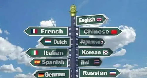 小語種翻譯服務的全面解析 從價值到選擇
